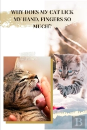 Why Does My Cat Lick My Hand & Fingers So Much?