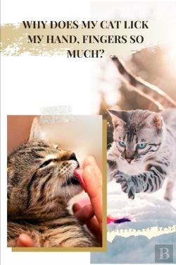 Bertrand.pt - Why Does My Cat Lick My Hand & Fingers So Much?