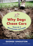 Why Dogs Chase Cars