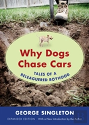 Why Dogs Chase Cars