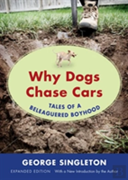 Bertrand.pt - Why Dogs Chase Cars