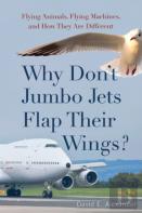 Why Don'T Jumbo Jets Flap Their Wings?