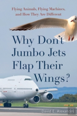 Bertrand.pt - Why Don'T Jumbo Jets Flap Their Wings?