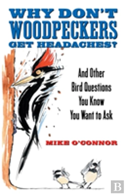 Bertrand.pt - Why Don'T Woodpeckers Get Headaches?