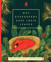 Why Evergreens Keep Their Leaves