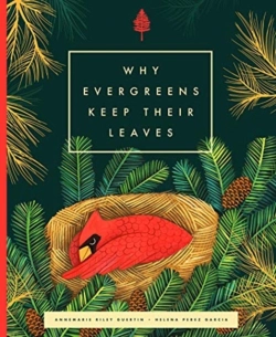 Bertrand.pt - Why Evergreens Keep Their Leaves