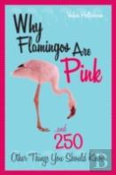 Why Flamingos Are Pink