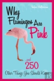 Why Flamingos Are Pink