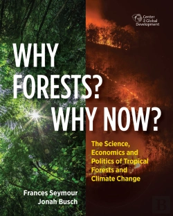 Bertrand.pt - Why Forests? Why Now?