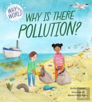 Why In The World: Why Is There Pollution?