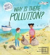 Why In The World: Why Is There Pollution?