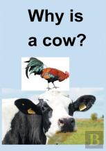Why Is A Cow?