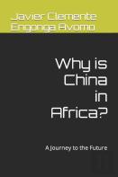 Why Is China In Africa?