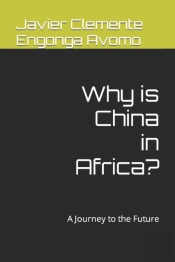 Why Is China In Africa?