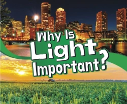 Bertrand.pt - Why Is Light Important?