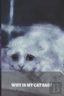 Why Is My Cat Sad?