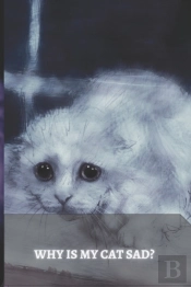 Why Is My Cat Sad?