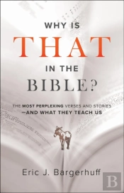 Why Is That In The Bible? Â€“ The Most Perplexing Verses And Storiesâ€“Â€“And What They Teach Us