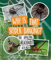 Why Is That Spider Dancing?