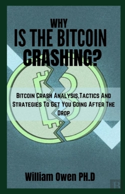 Bertrand.pt - Why Is The Bitcoin Crashing?