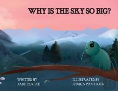 Why Is The Sky So Big?