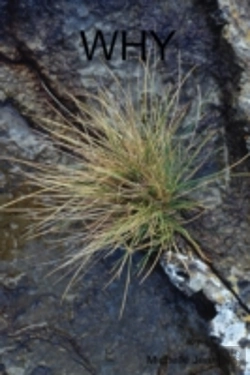 Bertrand.pt - Why