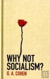 Why Not Socialism?