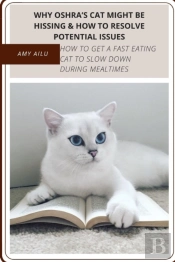 Why Oshra'S Cat Might Be Hissing & How TãÂ¾ Resolve Potential Issues