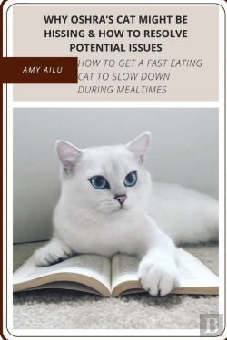 Bertrand.pt - Why Oshra'S Cat Might Be Hissing & How TãÂ¾ Resolve Potential Issues