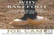 Why Our Horses Are Barefoot