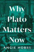 Why Plato Matters Now