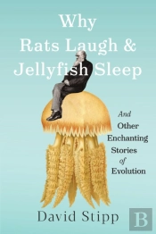 Why Rats Laugh And Jellyfish Sleep