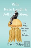 Why Rats Laugh And Jellyfish Sleep
