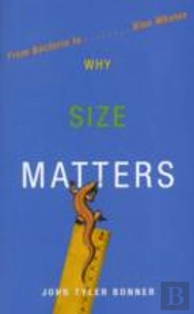 Why Size Matters