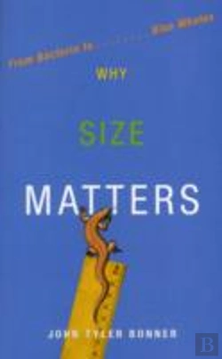 Bertrand.pt - Why Size Matters