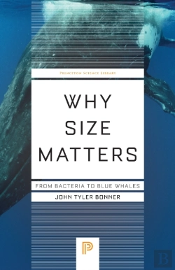 Bertrand.pt - Why Size Matters