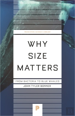 Bertrand.pt - Why Size Matters