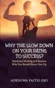 Why The Slow Down  On Your Path To Success