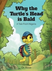 Why The Turtle'S Head Is Bald
