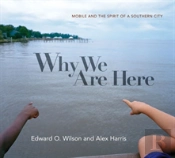 Why We Are Here