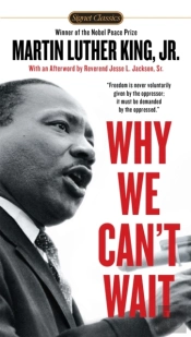 Why We Can'T Wait