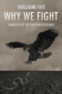 Why We Fight