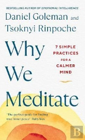 Why We Meditate