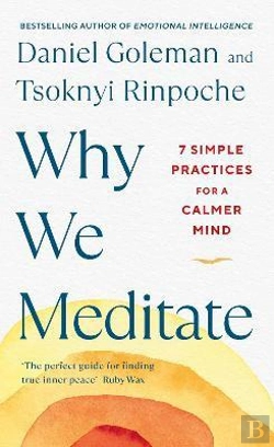 Bertrand.pt - Why We Meditate
