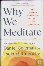 Why We Meditate