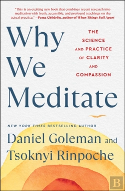 Bertrand.pt - Why We Meditate
