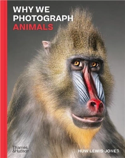 Bertrand.pt - Why We Photograph Animals