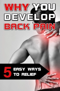 Bertrand.pt - Why You Develop Back Pain - 5 Easy Ways To Relief