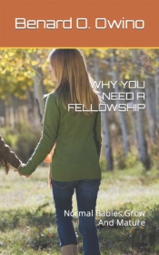 Why You Need A Fellowship