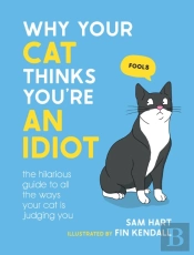 Why Your Cat Thinks You'Re An Idiot